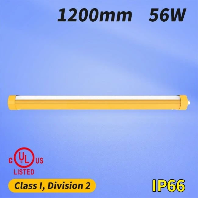 C1D2 Harsh Areas 56W LED Luminaries
