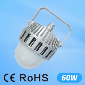 LED Outdoor Waterproof Flood Light 60W For Industrial Use